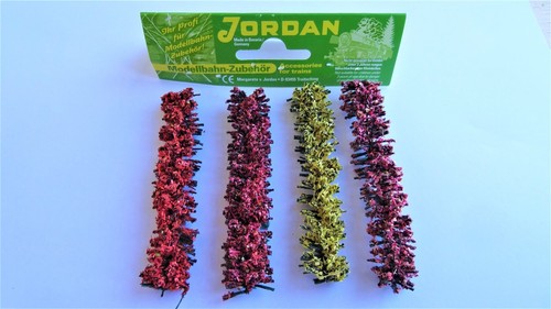 Jordan hecken blühend - jordan,