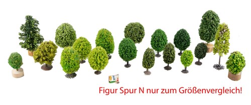 Spur 20 - spur,